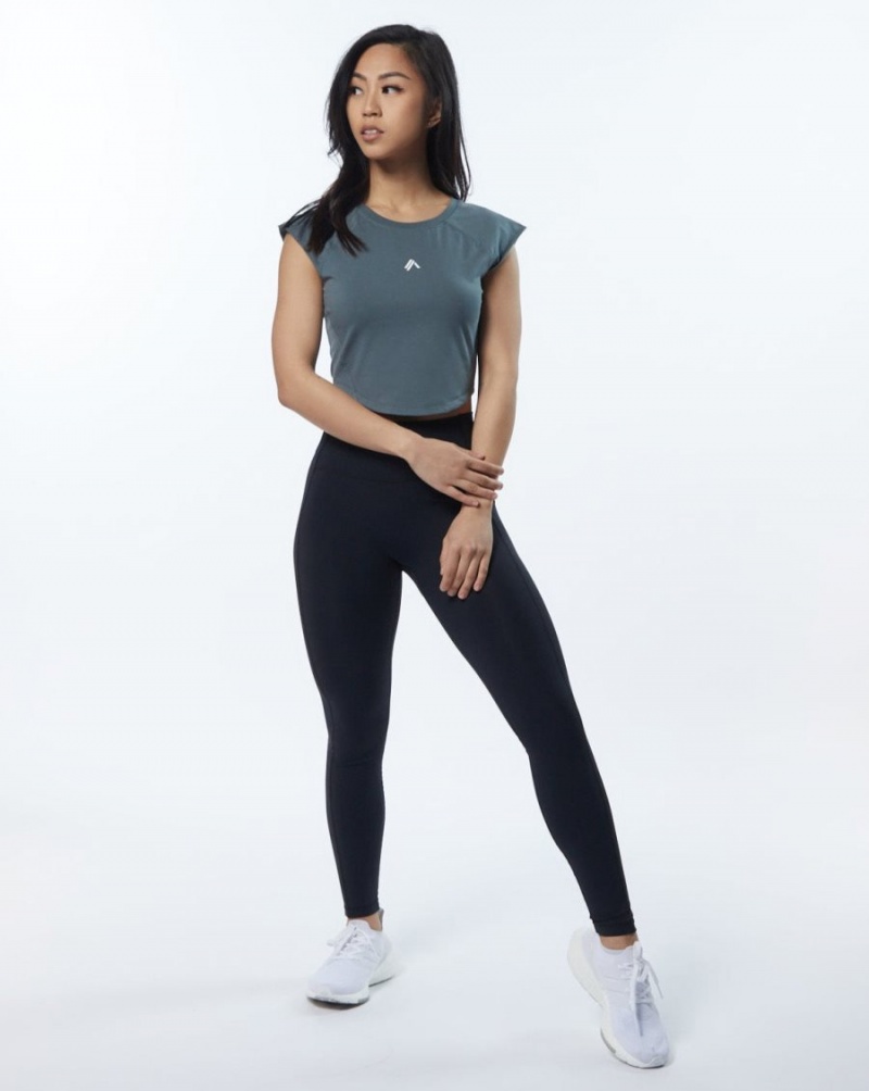 Alphalete Velocity Crop Tee Skjorte Dame Grå | DEOHRX-216