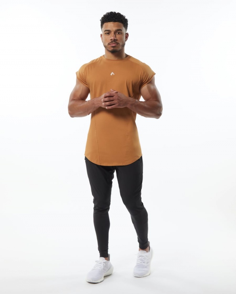 Alphalete Velocity Ermeløse Tee Stringers Herre Chestnut | QZCING-219