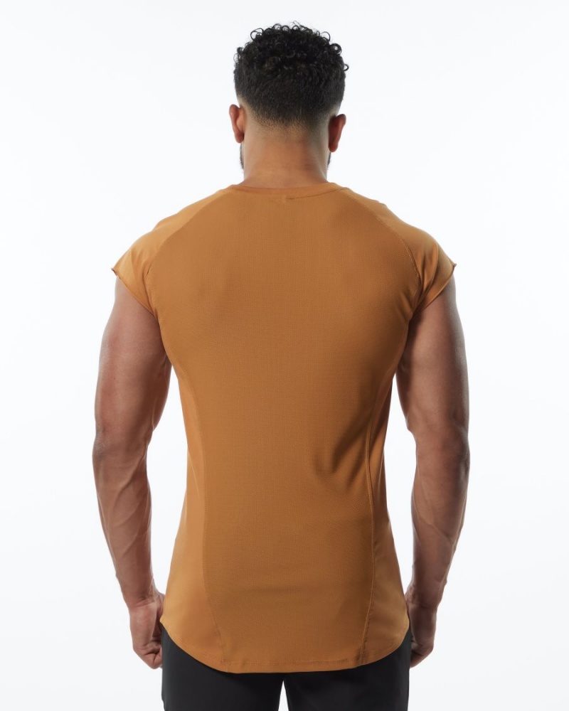 Alphalete Velocity Ermeløse Tee Stringers Herre Chestnut | QZCING-219