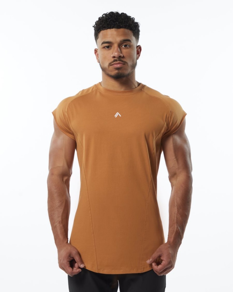 Alphalete Velocity Ermeløse Tee Stringers Herre Chestnut | QZCING-219