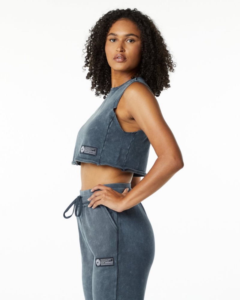 Alphalete Very Terry Crop Cutoff Tank Top Dame Blå | DQFCZV-189