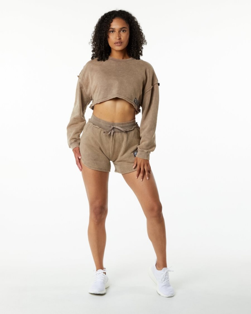 Alphalete Very Terry Crop Pullover Jakker Dame Smokey Quartz | FLPJQN-482