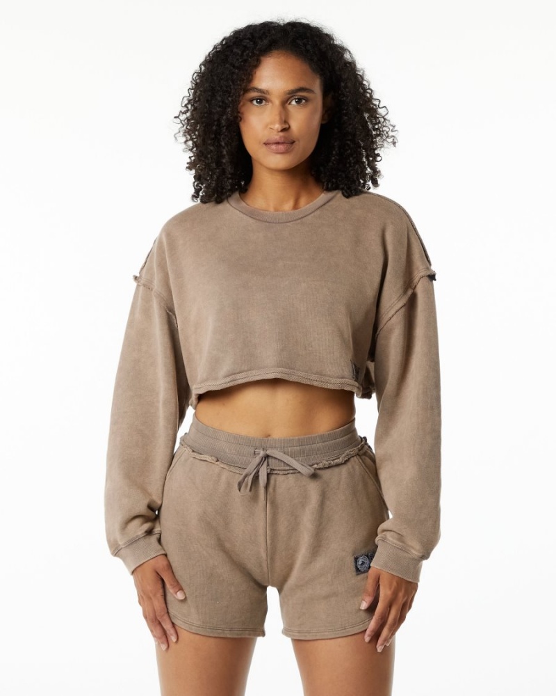 Alphalete Very Terry Crop Pullover Jakker Dame Smokey Quartz | FLPJQN-482