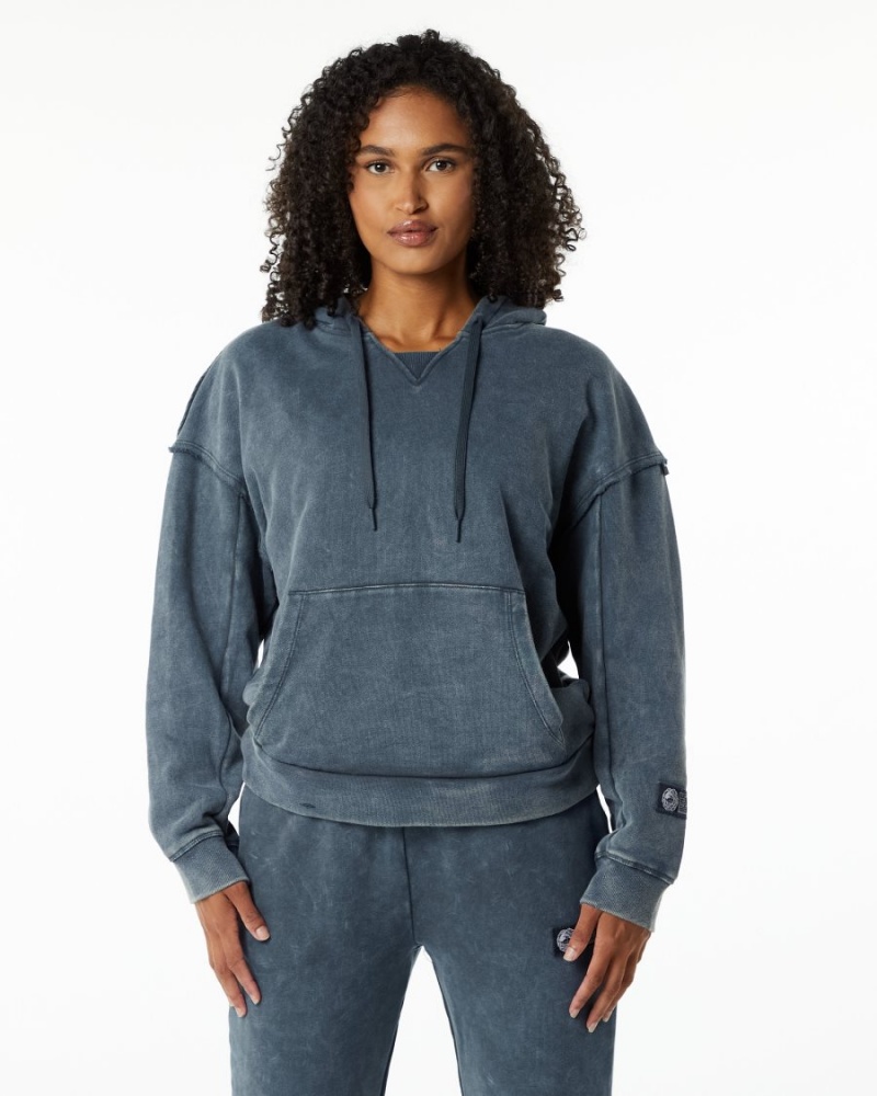 Alphalete Very Terry Hoodie Hettegenser Dame Blå | SHPJDN-421