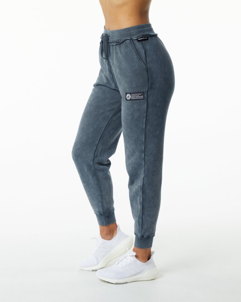 Alphalete Very Terry Jogger Joggebukser Dame Blå | OUHJKQ-692