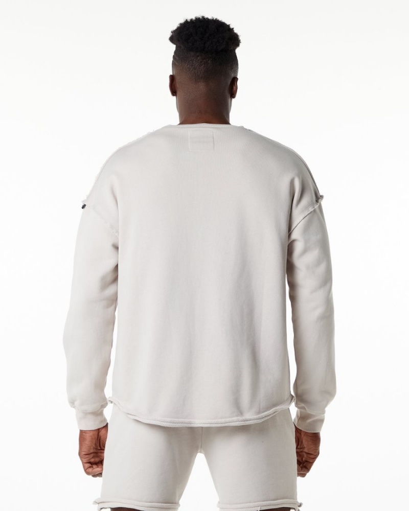 Alphalete Very Terry Pullover Jakker Herre Moonstone | CGXEAJ-280