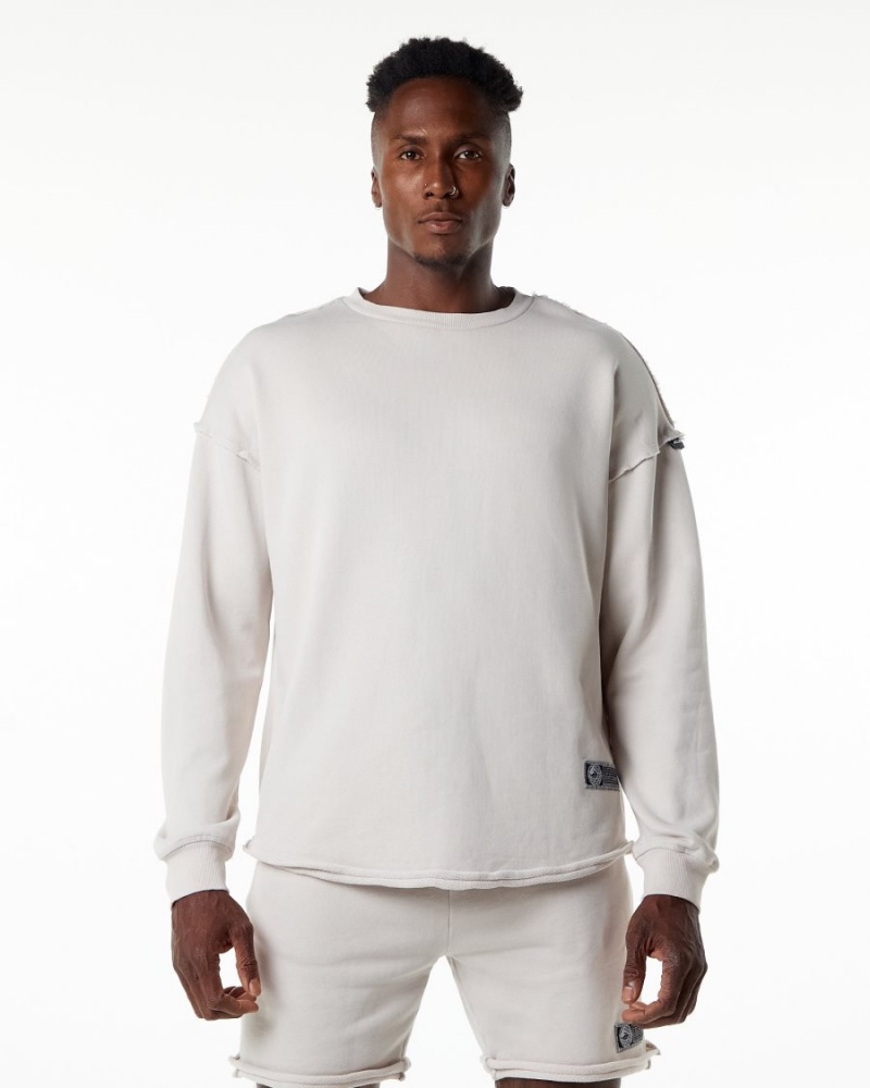 Alphalete Very Terry Pullover Jakker Herre Moonstone | CGXEAJ-280