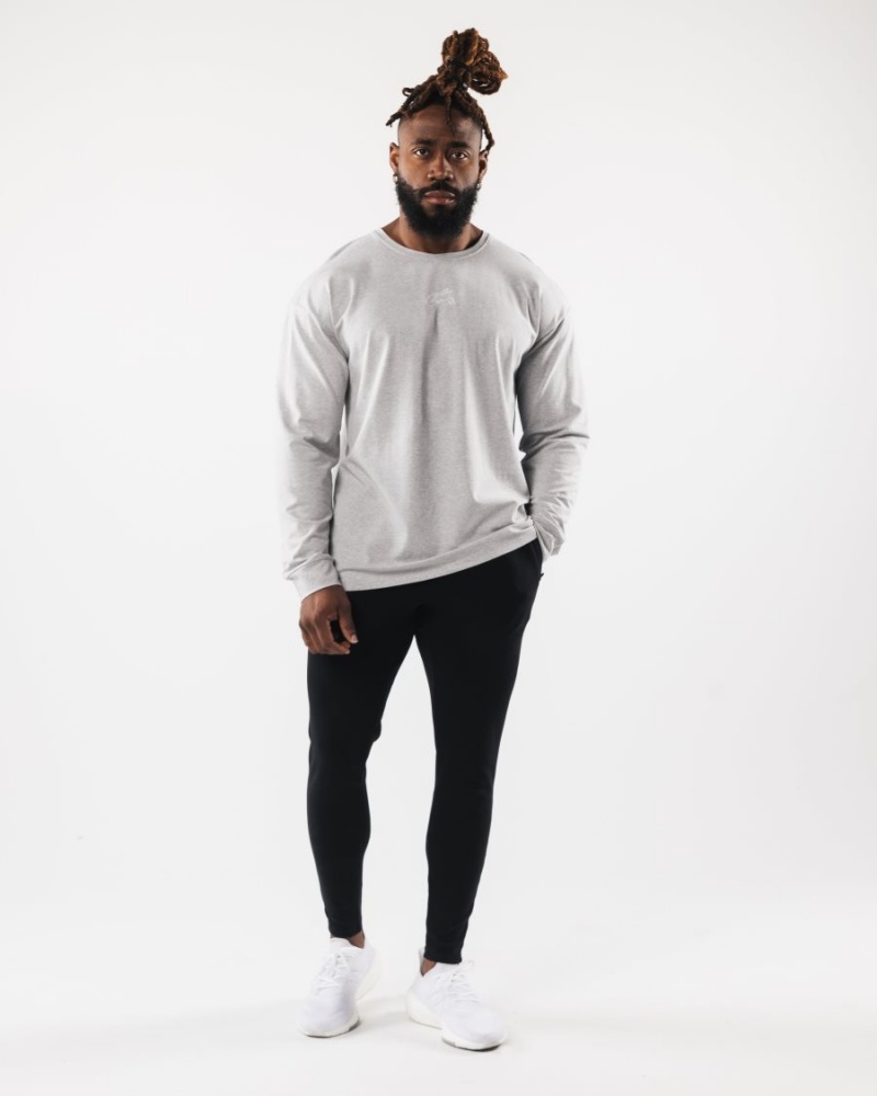 Alphalete Wolf Head LS Tee Skjorte Herre Grå | WXFIZT-187