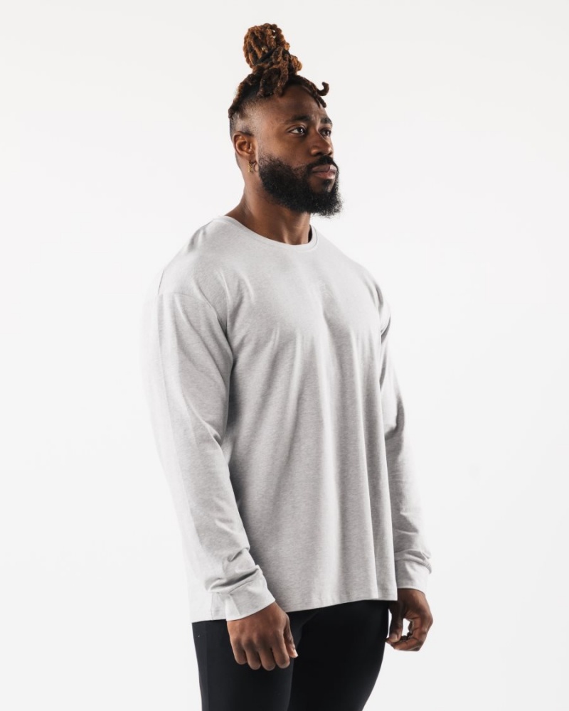 Alphalete Wolf Head LS Tee Skjorte Herre Grå | WXFIZT-187