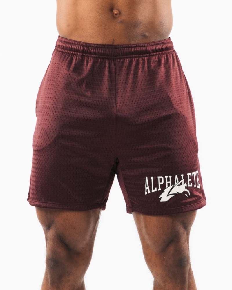 Alphalete Wolf Head Mesh Kort 6" Shorts Herre Sangria | DIKZTU-694